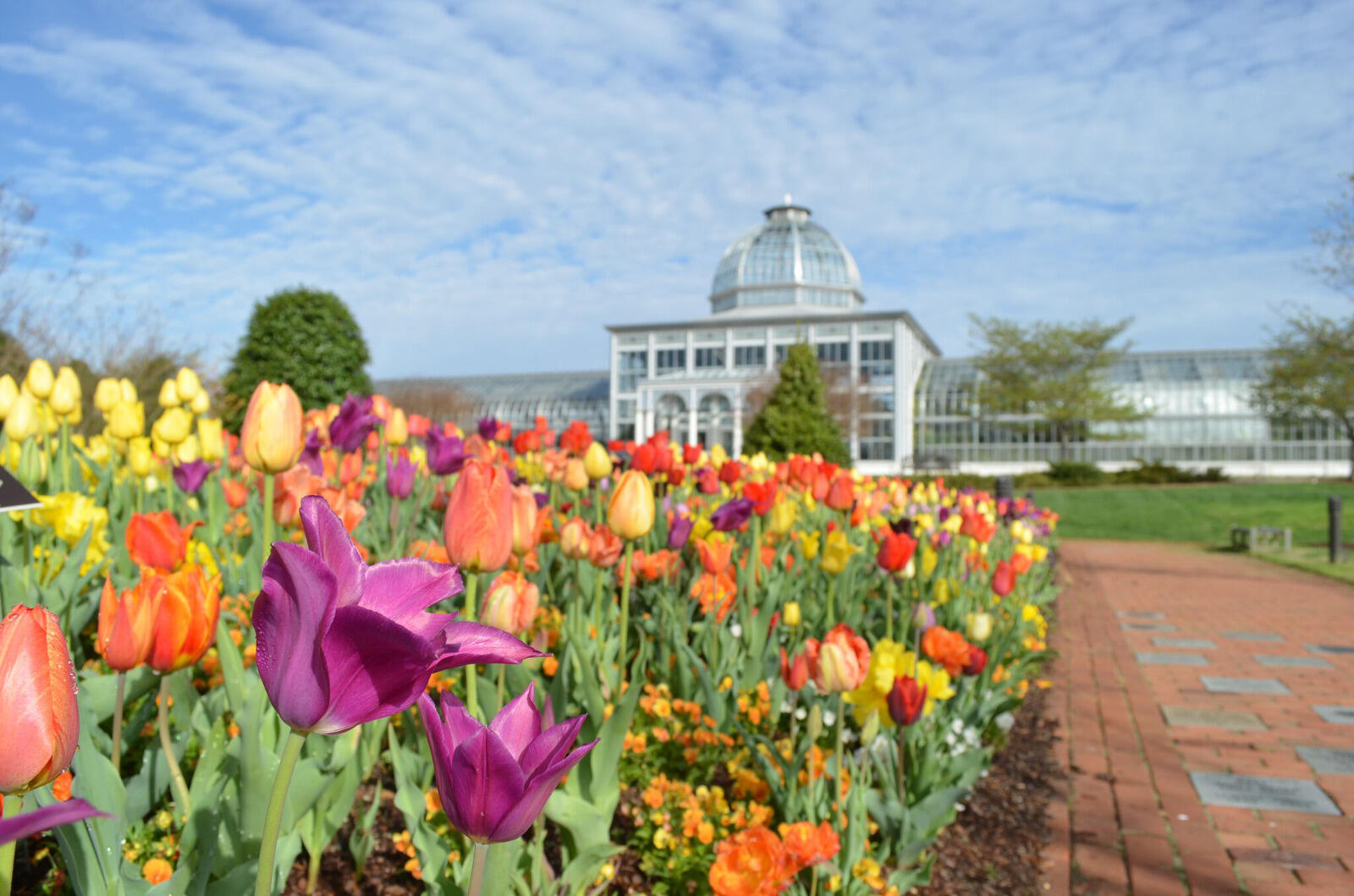 Photo courtesy Lewis Ginter Botanical Garden.
