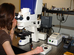 Multi-photon laser scanning microscope – Kimberly Jefferson, Ph.D., assistant professor, Department of Microbiology and Immunology