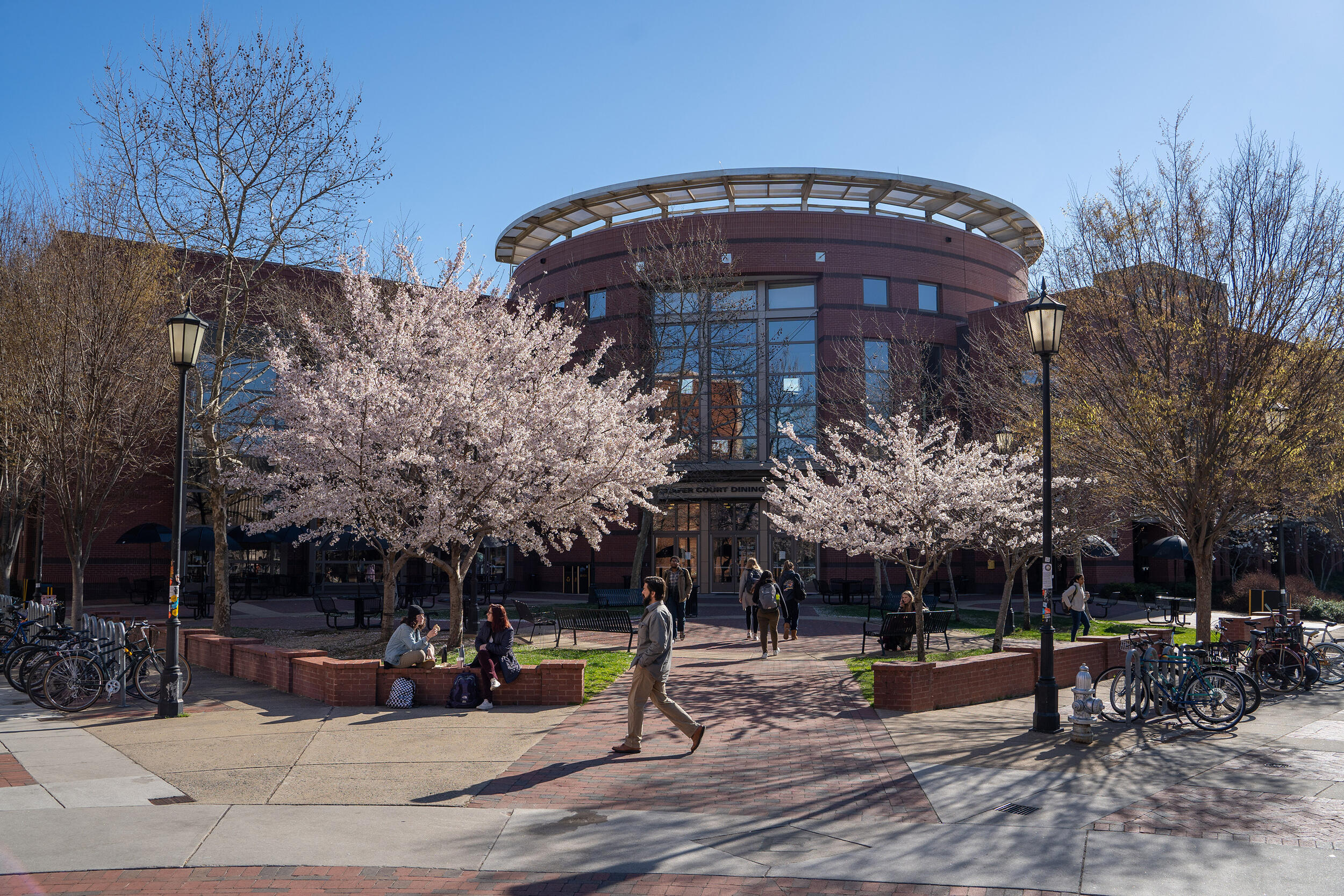A photo of the outside of Schafer Court Dining Center with cherry blossom trees blooming in front of the building. 