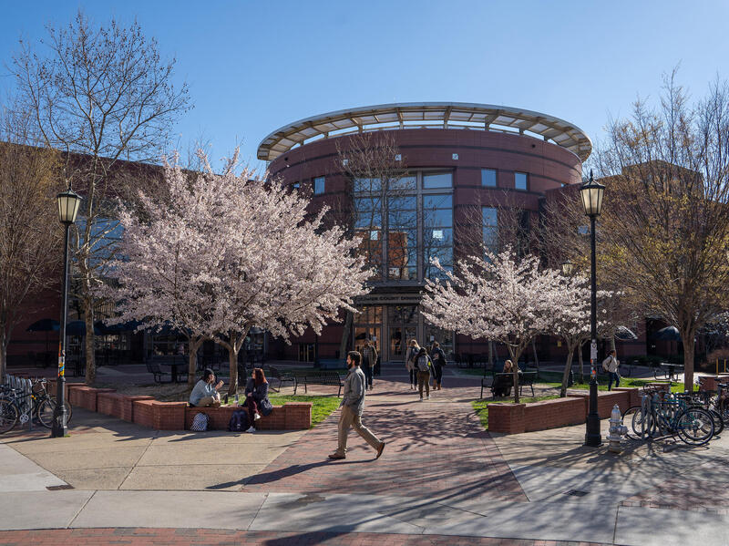 A photo of the outside of Schafer Court Dining Center with cherry blossom trees blooming in front of the building. 