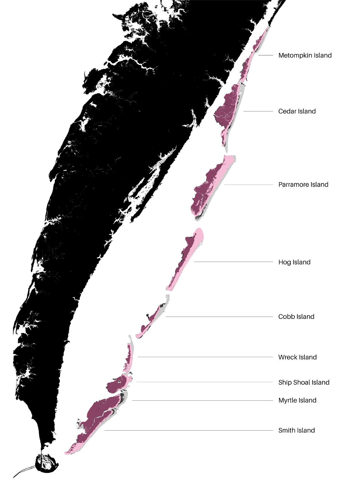 Overall change along the Virginia barrier islands during the 1984 to 2016 time period. Light grey is 1984 upland; Dark gray is 1984 marsh; Light purple is 2016 upland; Dark purple is 2016 marsh. Along several islands, evidence of upland migration onto the marsh is visible.