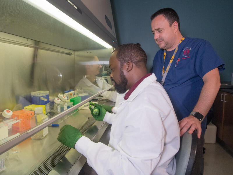 Two scientists conducting medical research in a laboratory.