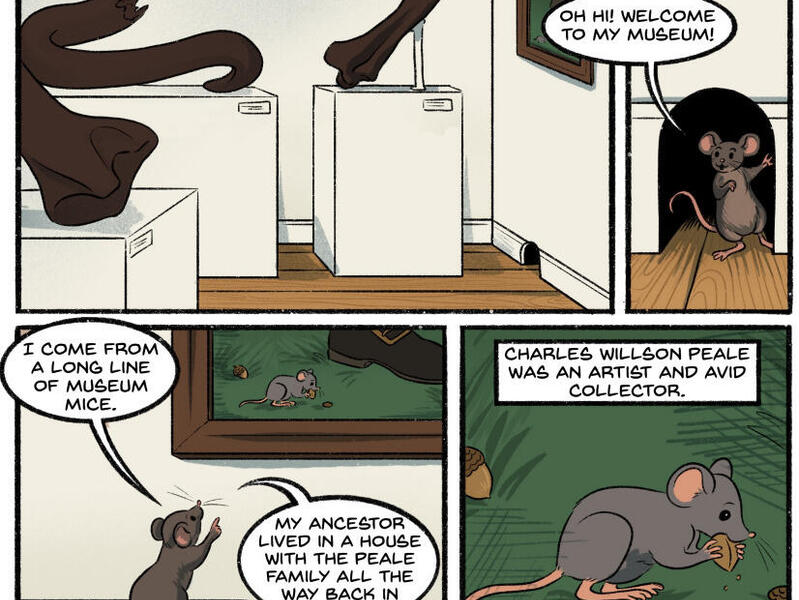 “The Mouse in the Museum” comic follows a mouse residing in The Peale museum. The mouse descends from a long line of mice, including a great-grandmother who lived in the Philadelphia home of Charles Willson Peale, an artist and collector who transformed his personal gallery into a public museum.