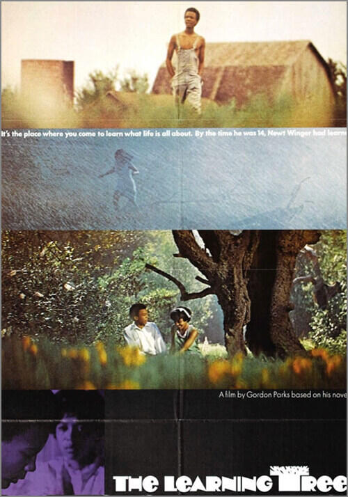 A movie poster for \"The Learning Tree\"