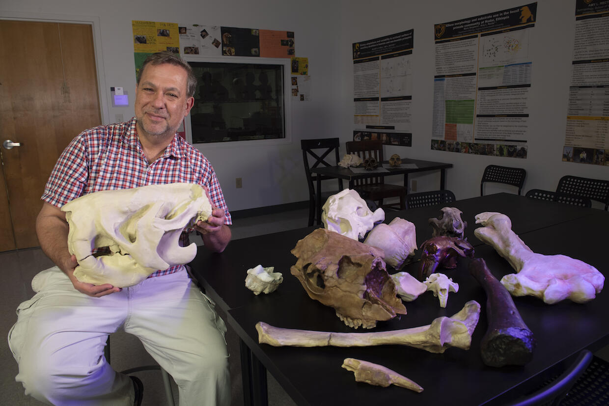Bernard Means with a 3D-printed ground sloth skull at the Virtual Curation Laboratory.