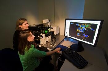 Patricia Trimmer, Ph.D., associate professor of anatomy and neurobiology and associate director of basic research for the Parkinson’s and Movement Disorders Center, and a member of her research team, graduate student Emily Cronin-Furman, take a closer look at at Lewy bodies found in the cells made from patients with sporadic Parkinson's disease.
