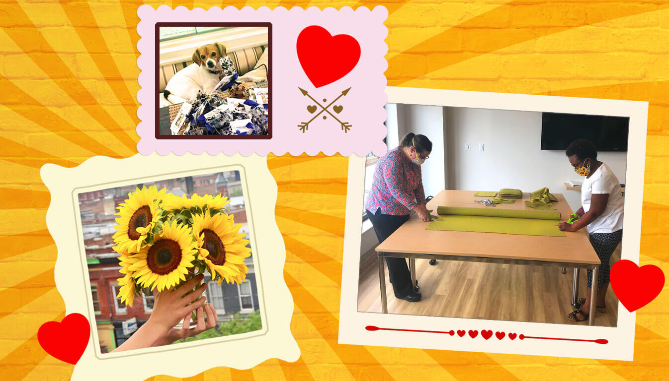 Valentine cards with photos of a therapy dog, a bouquet of sunflowers, and two people working on a project.