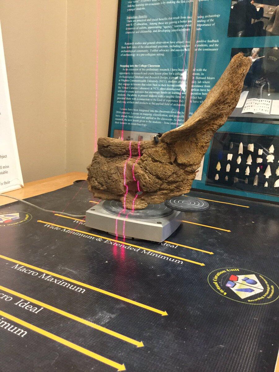 The Virtual Curation Laboratory 3-D scanned this mastodon jaw fragment with an abscess, which was excavated near Yorktown, Virginia.
