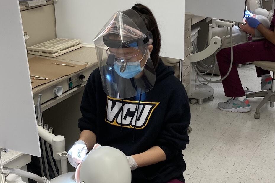 A person wearing a mask and face shield with a V C U sweatshirt performs dental work on a training tool.