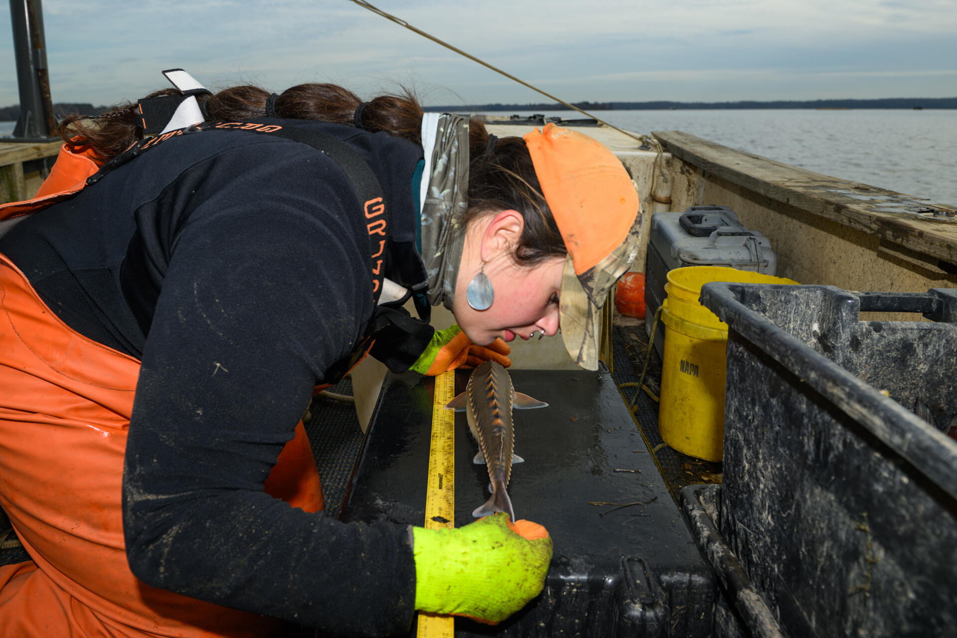 A photo of a woman measuring a fish on a boat. 