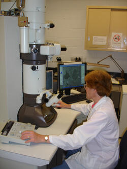 Transmission Electron Microscope (TEM) – Judy Williamson, electron microscopy technician, Department of Anatomy and Neurobiology