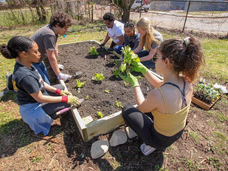Students work on a planting a bed at a new community garden at George W. Carver Elementary School.