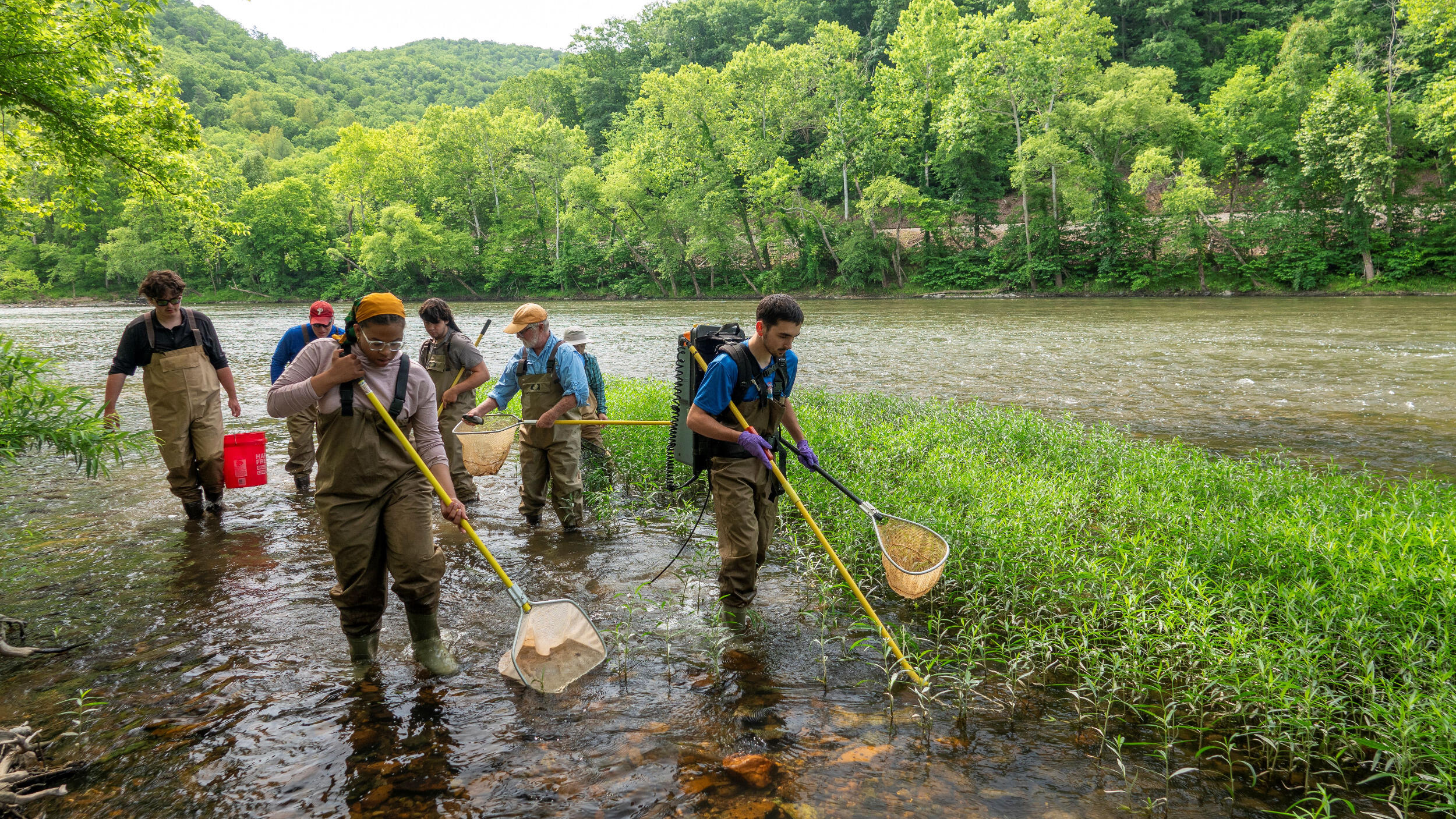 Students wade near the bank of a river and fish with nets.