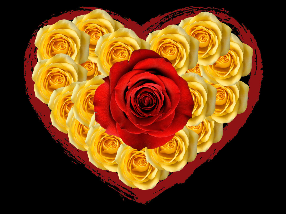 A heart made out of yellow roses with a large red rose in the middle