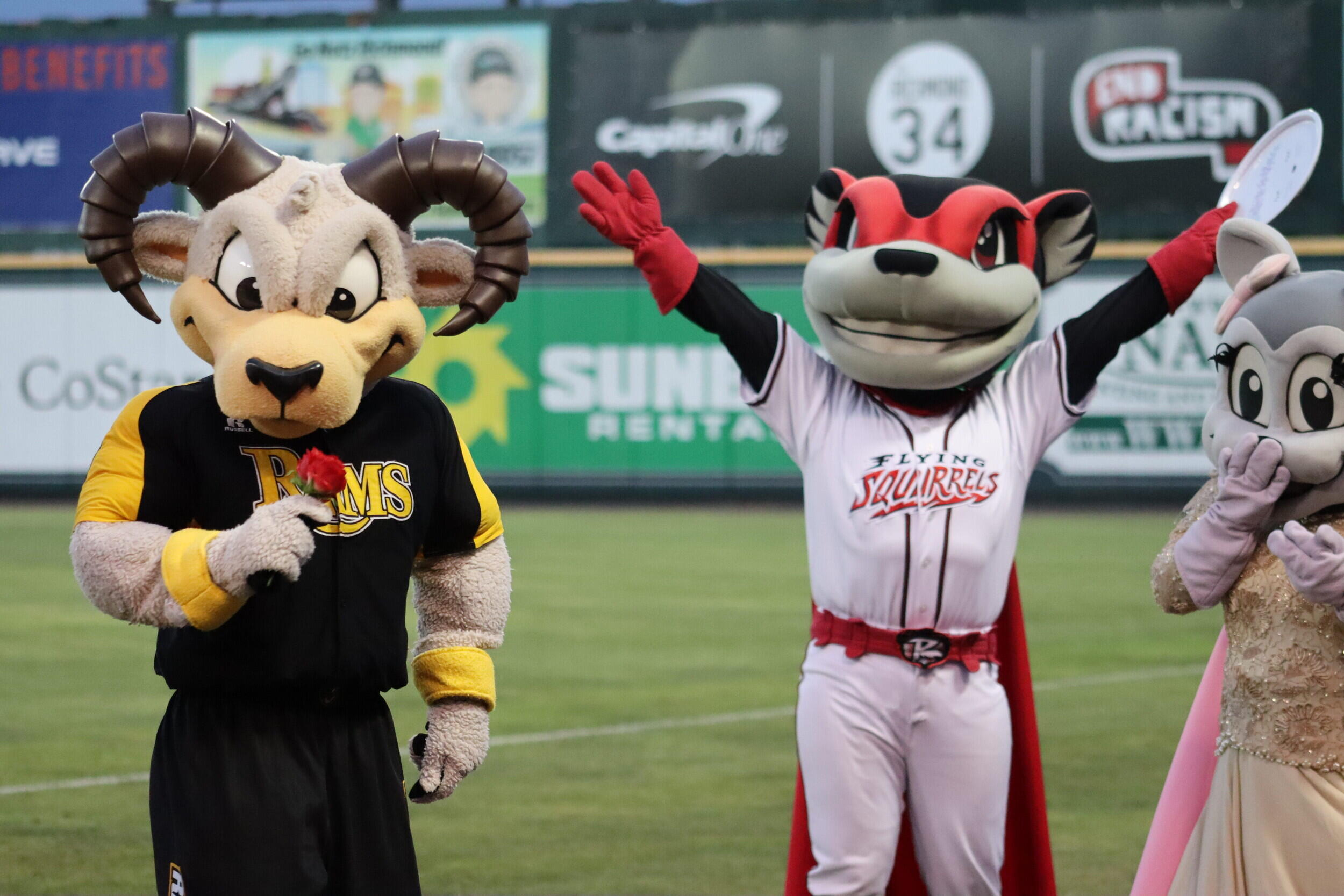 Rodney the Ram holding a rose next to the flying squirrel's mascot.