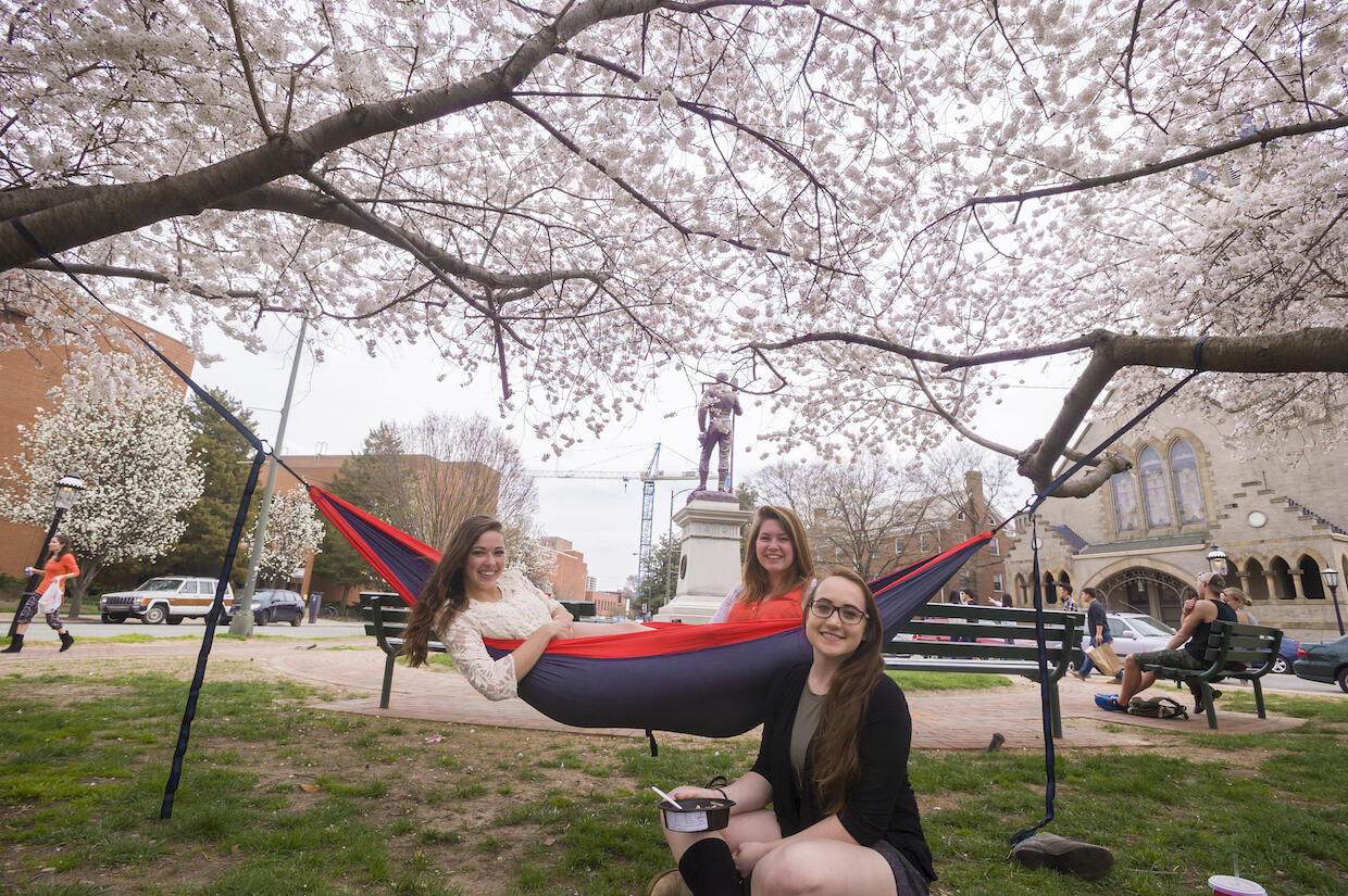 Students lounge on a hammock beneath the cherry trees in Howitzer Park in Richmond.