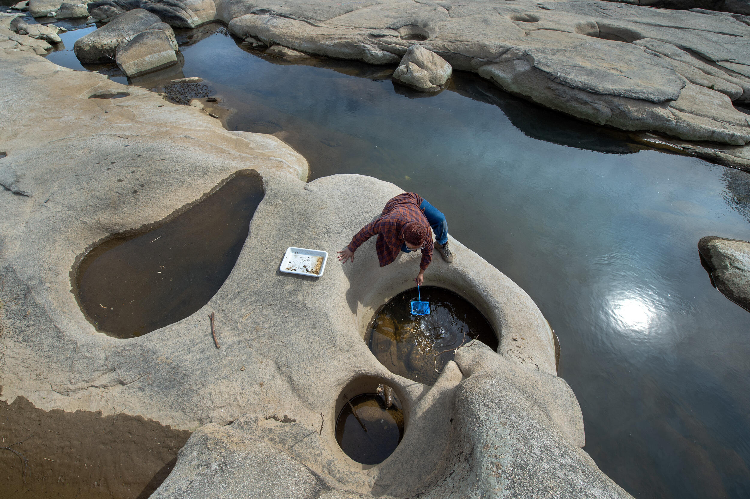 A photo of a person sitting on a rock leaning over a rock pool with a blue net. 
