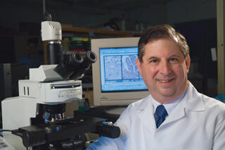Alphonse E. Sirica, Ph.D., chair of the Division of Cellular and Molecular Pathogenesis in the VCU Department of Pathology. Courtesy of Kevin Schindler
