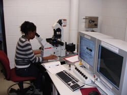 Confocal laser scanning microscope – Natasha Purdie, light microscopy technician, Department of Anatomy and Neurobiology 