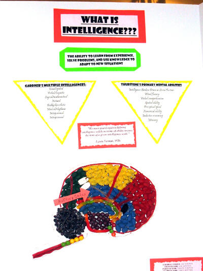 Food for thought: Visiting high school students created displays to demonstrate their knowledge of neuroscience and the link between the brain and behavior. Brain Day was observed as part of “National Brain Awareness Week.” Photo by Mike Porter, VCU Communications and Public Relations.