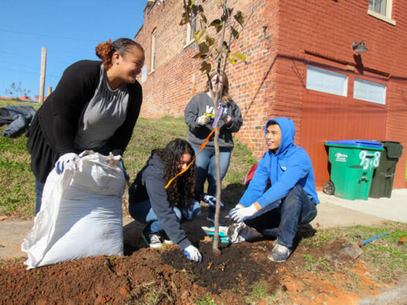 A woman holds a large white bag at left, while three other people work around a tree.
