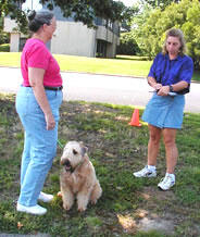 Connie Knisely, Delta Society certified evaluator, reviews scores for Patti Dilzer, VCUHS decision support manager (left) and her dog, Bonzo, who were among 16 teams of volunteers and dogs that satisfied Delta Society Pet Partner certification requirements.

Photo courtesy of Pat Peltier, VCUHS Volunteer Office