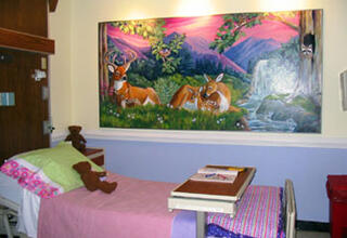 The pediatric palliative care comfort room is located on the VCU Medical Center’s pediatric inpatient unit.
